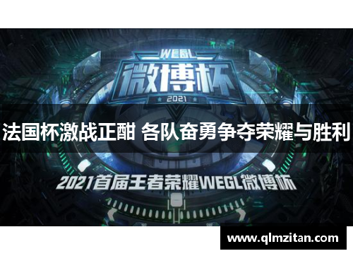 法国杯激战正酣 各队奋勇争夺荣耀与胜利