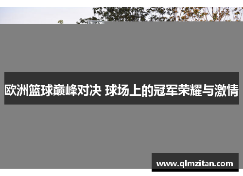 欧洲篮球巅峰对决 球场上的冠军荣耀与激情