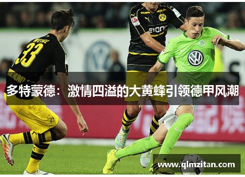 多特蒙德：激情四溢的大黄蜂引领德甲风潮
